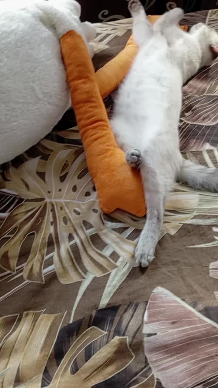 @❤️ ﮩﮩ٨ــﮩـــ𝑀𝒾𝓁𝒶