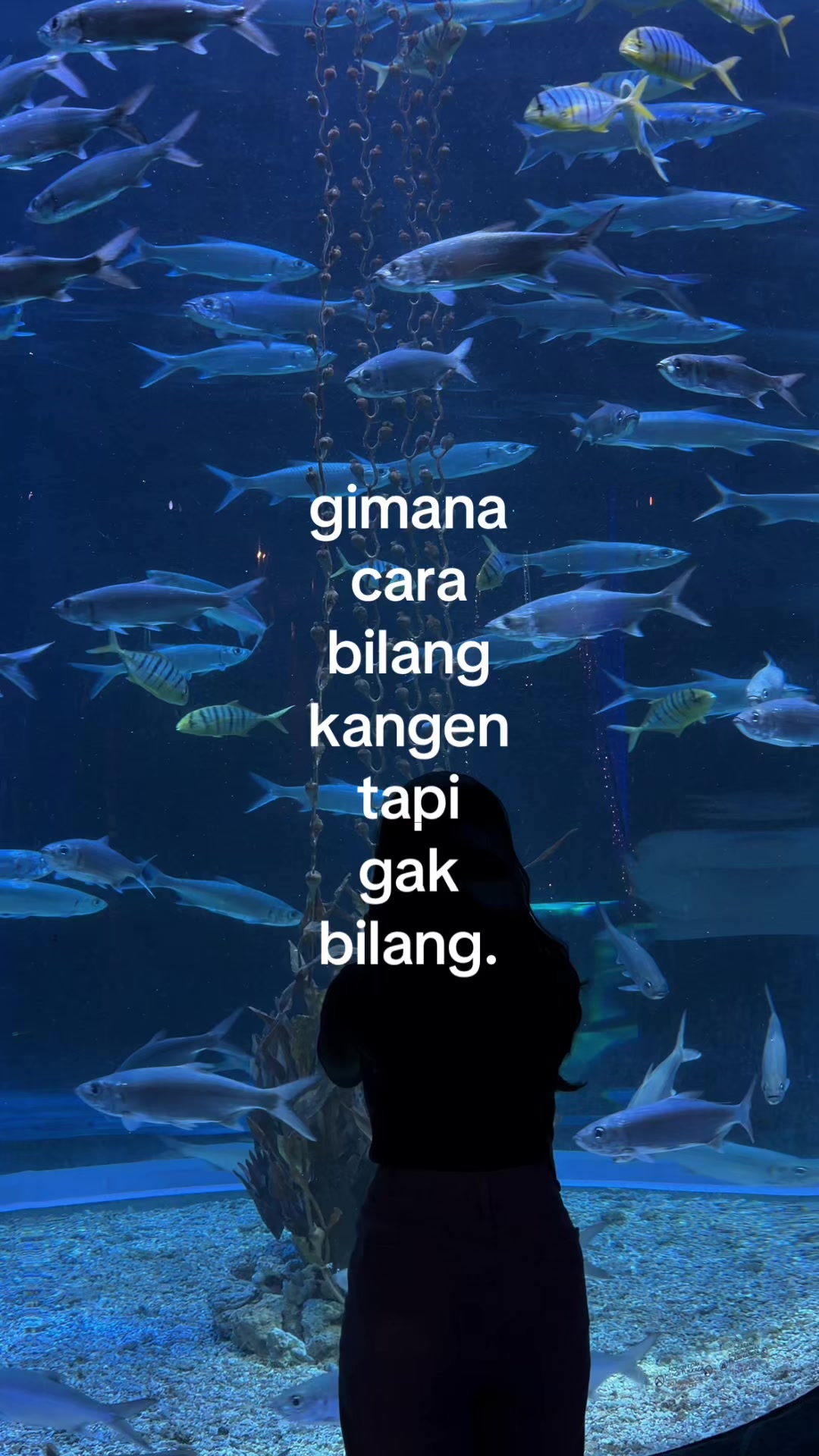 @๐๐ถ๐ฎ๐ป๐