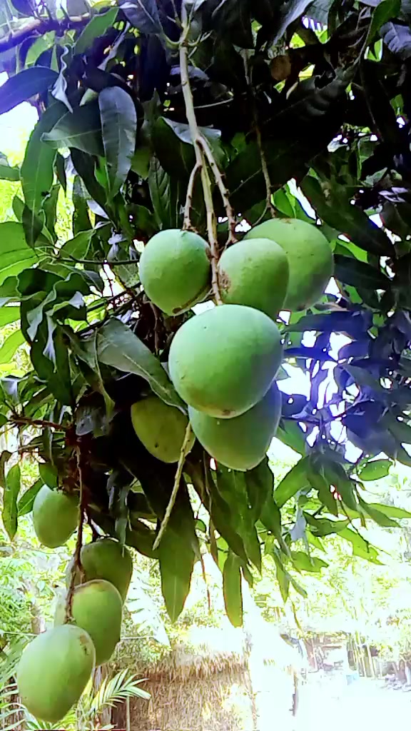 @❣️❣️❣️মন হারা পাখি ❣️❣️❣️