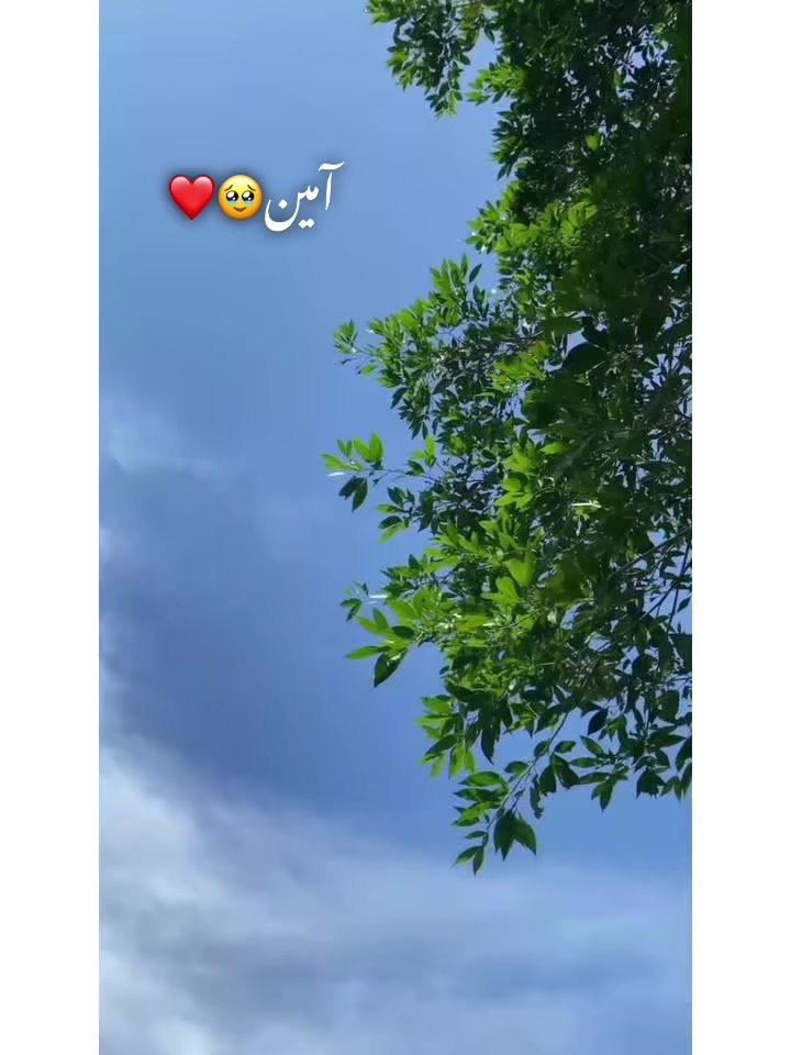 @⚜️𝐊𝐇𝐎𝐊𝐇𝐀𝐑❤️&zwj;🩹