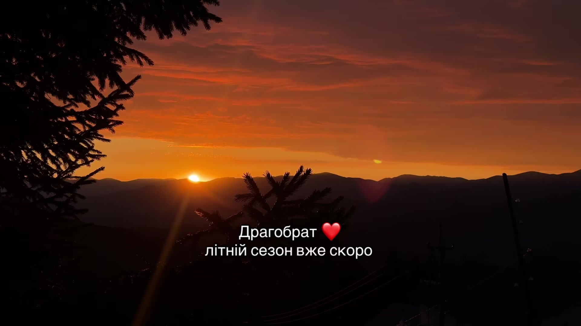 @Go to Dragobrat⚡️