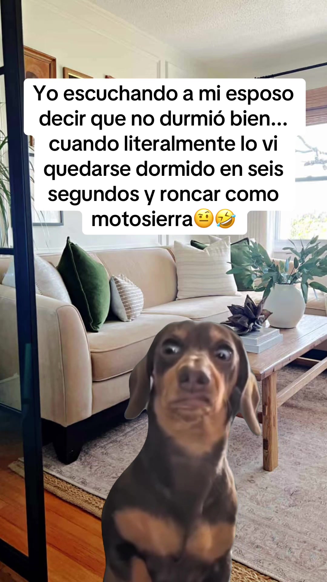 @Flakitta&Luis🫶🏻