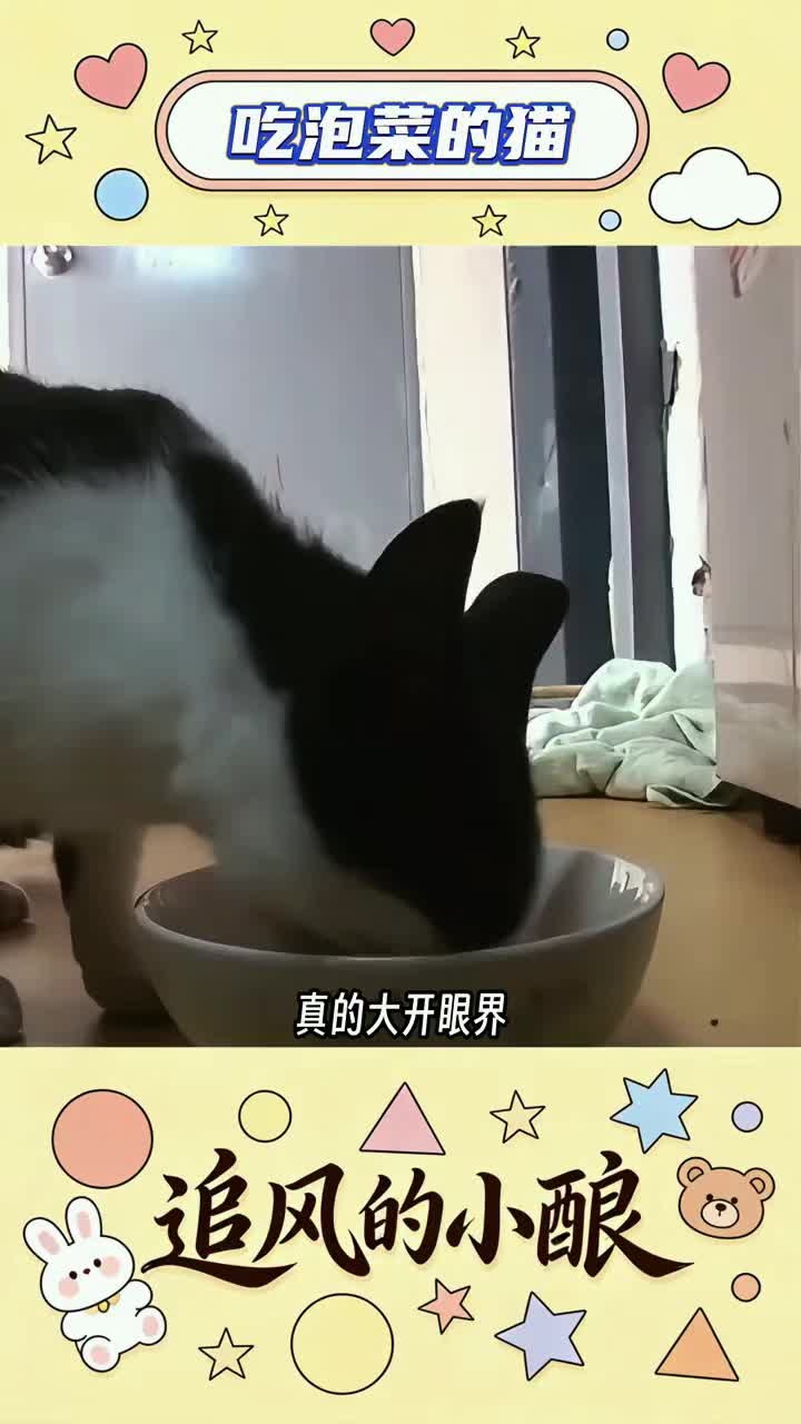 @林京一