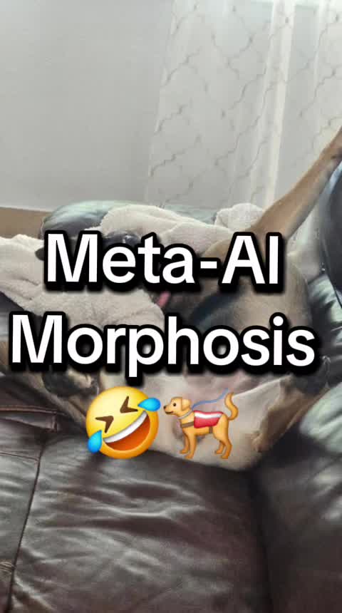 @Rie Animal
