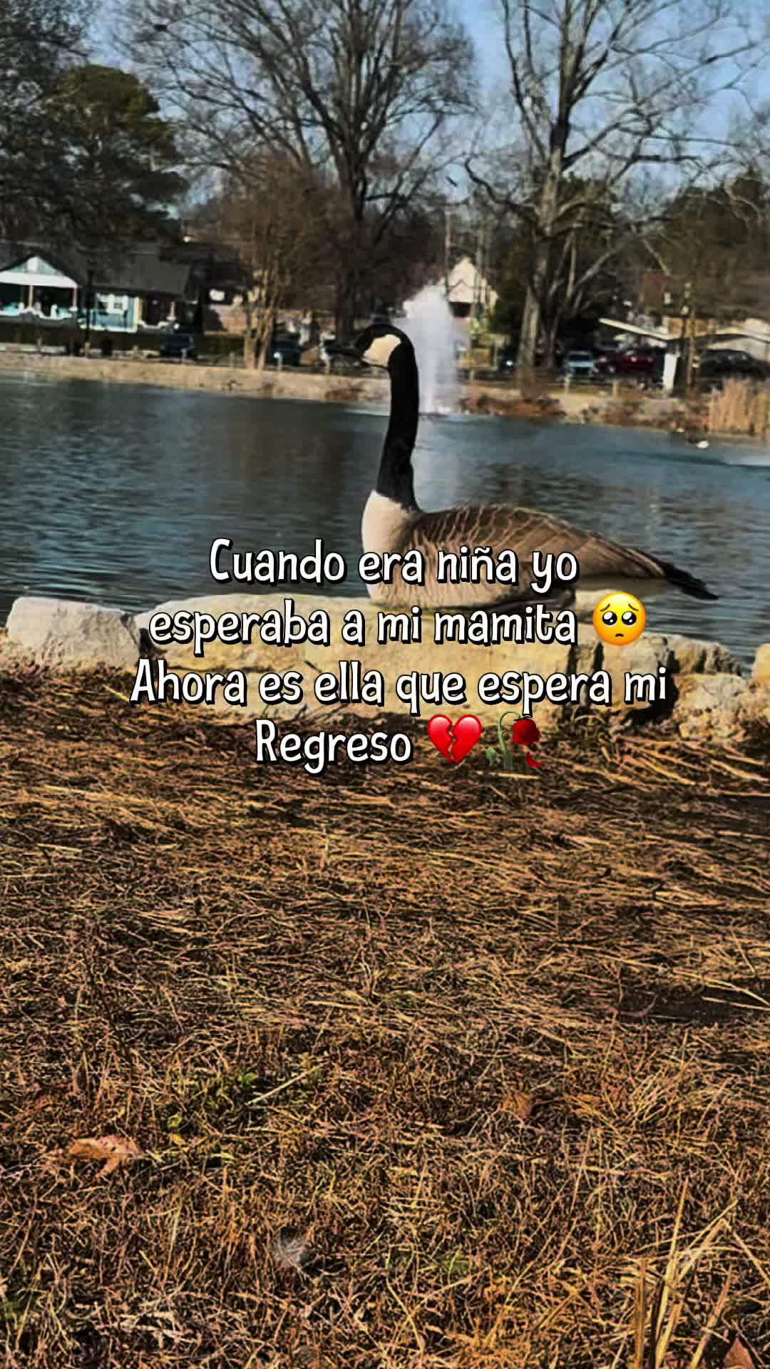 @Ana Lupita Ramírez
