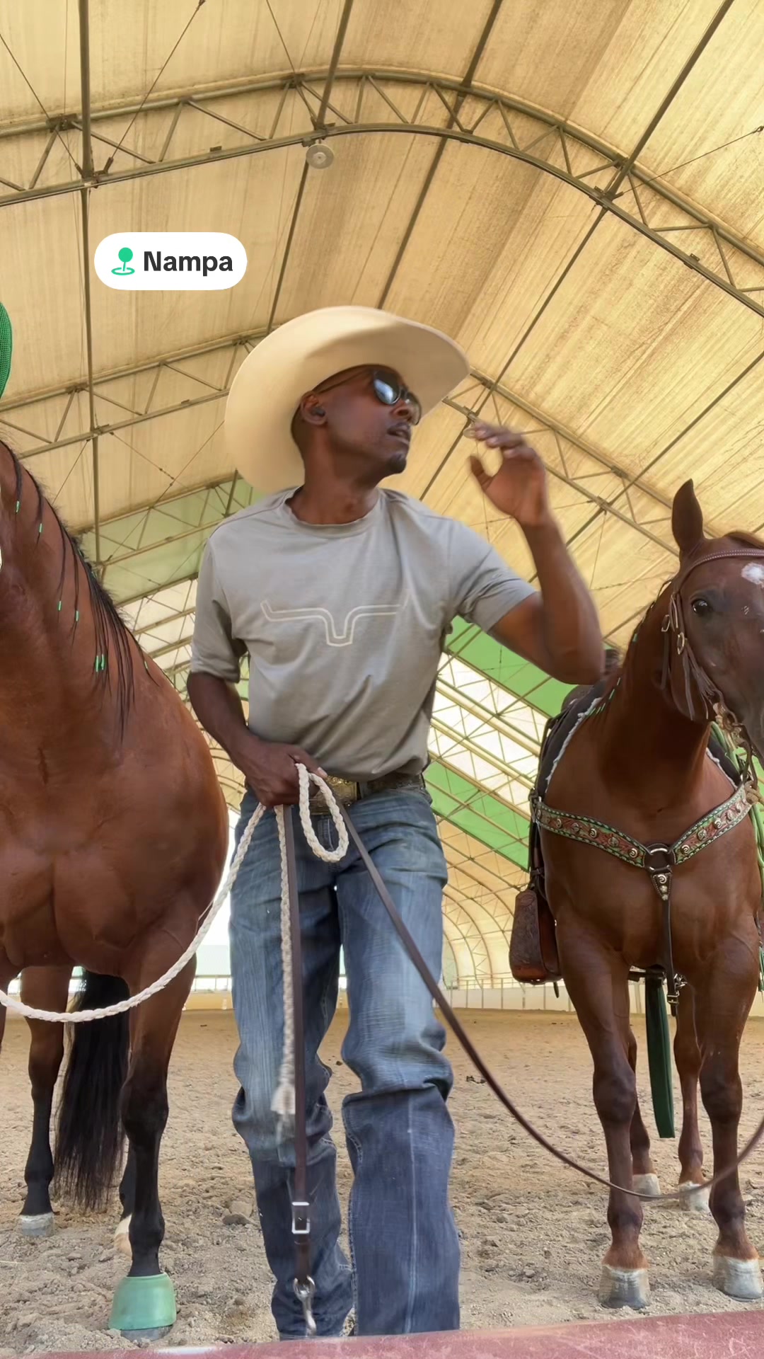 @Qualified Saddle Cleaning