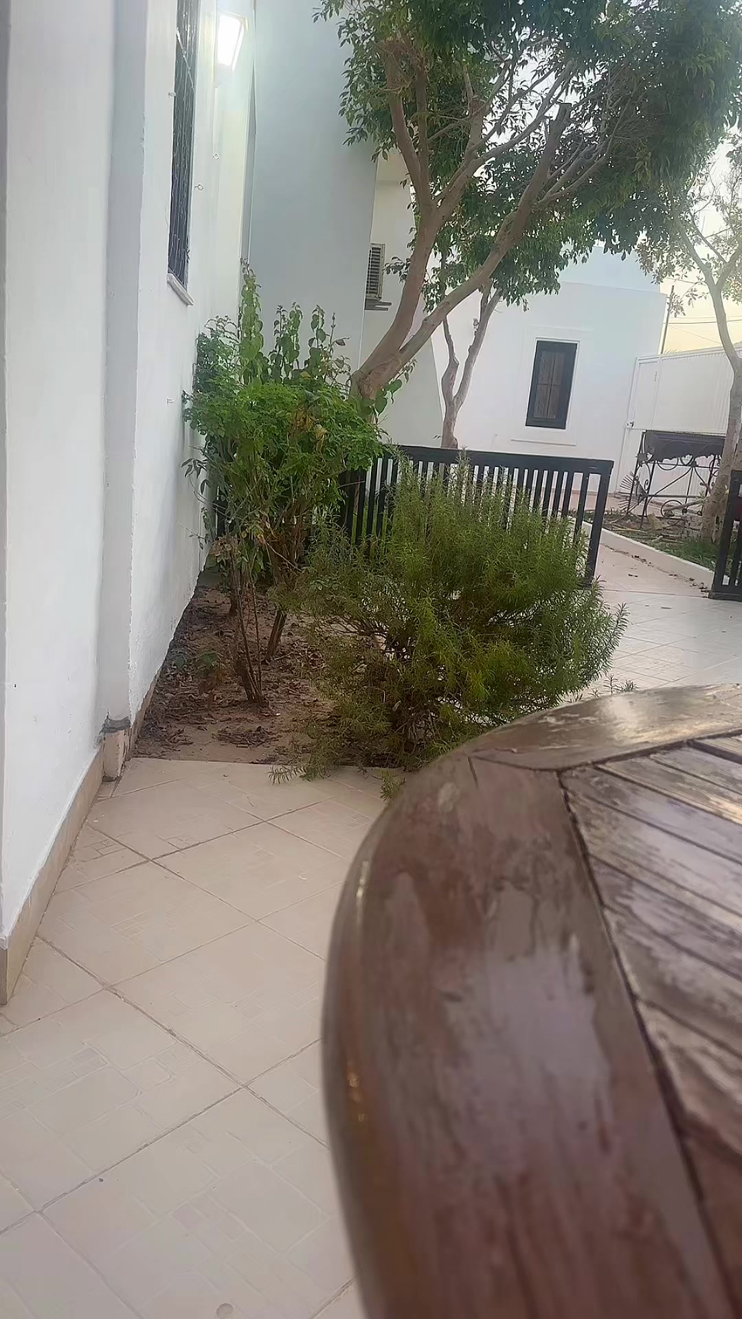 @الزعيمة 👑👑