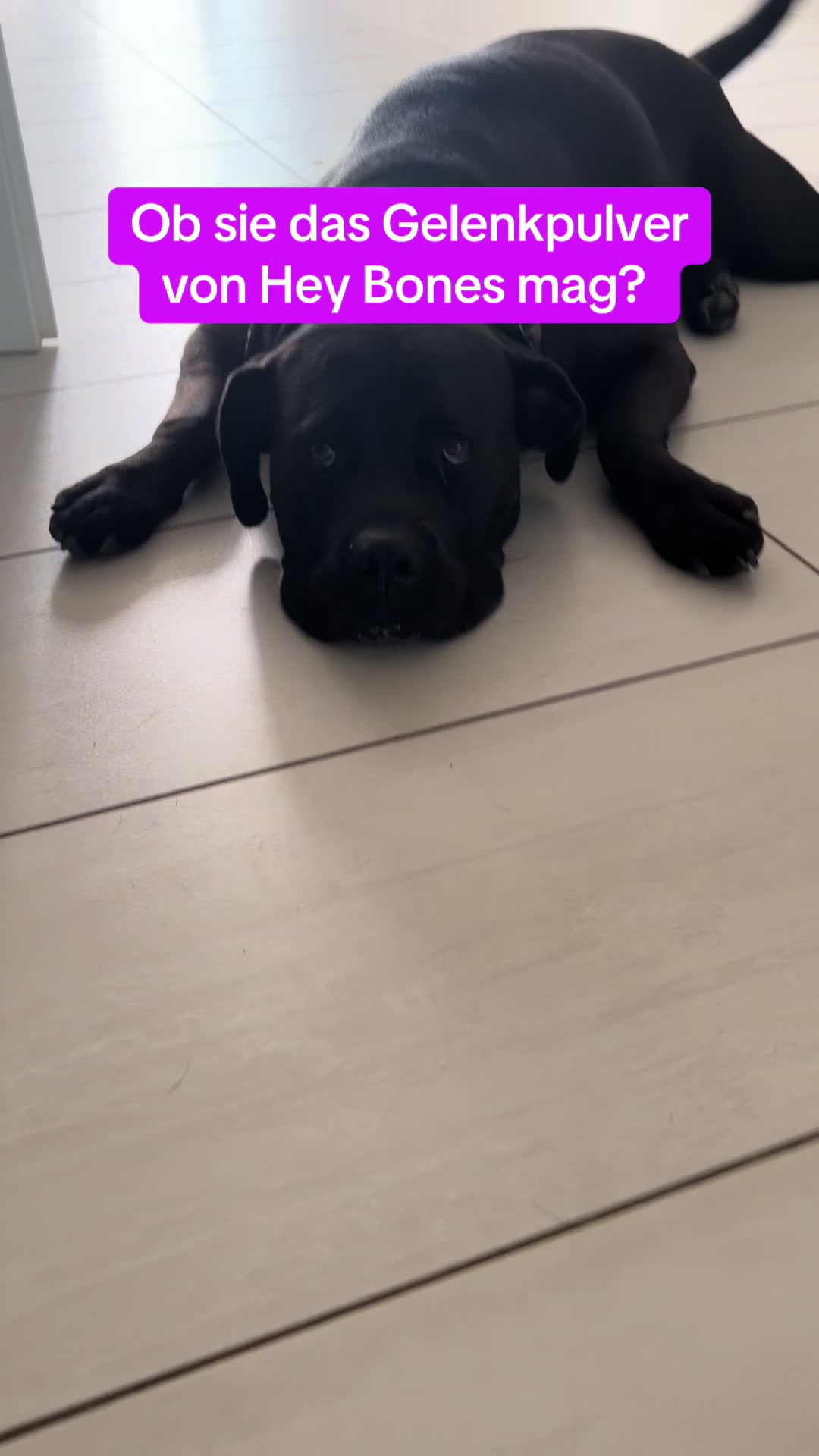 @Braunici