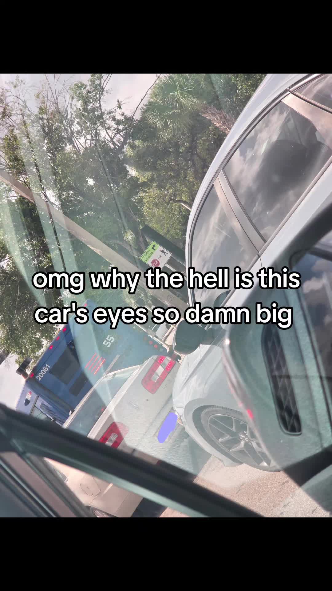 @My Gigantic Lesbian Tits 🇵🇸