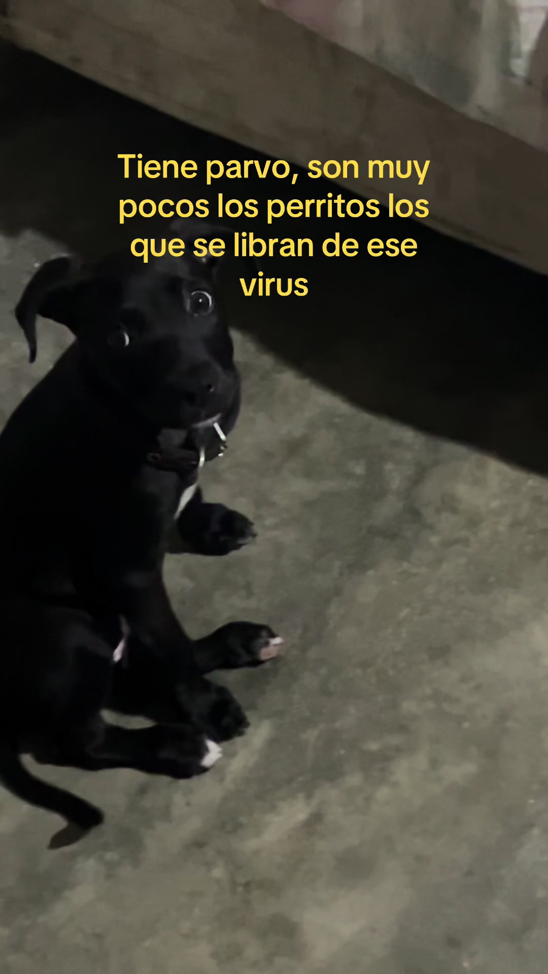 @Yami🍒