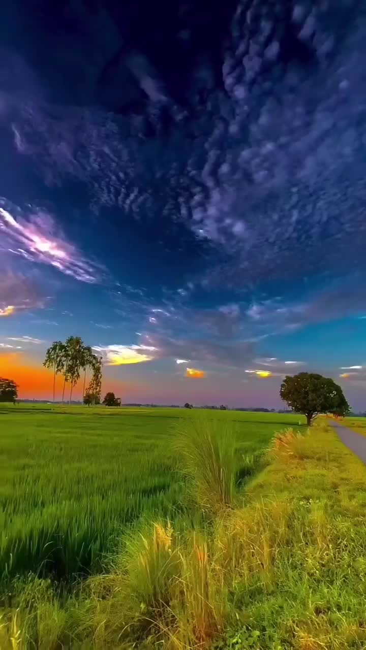 @জীবন্ত লাস 💔💯😭