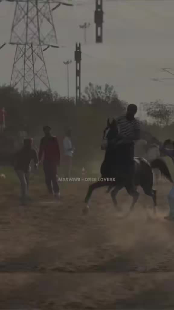 @🏇 MARWARI HORSE RACING 🏇