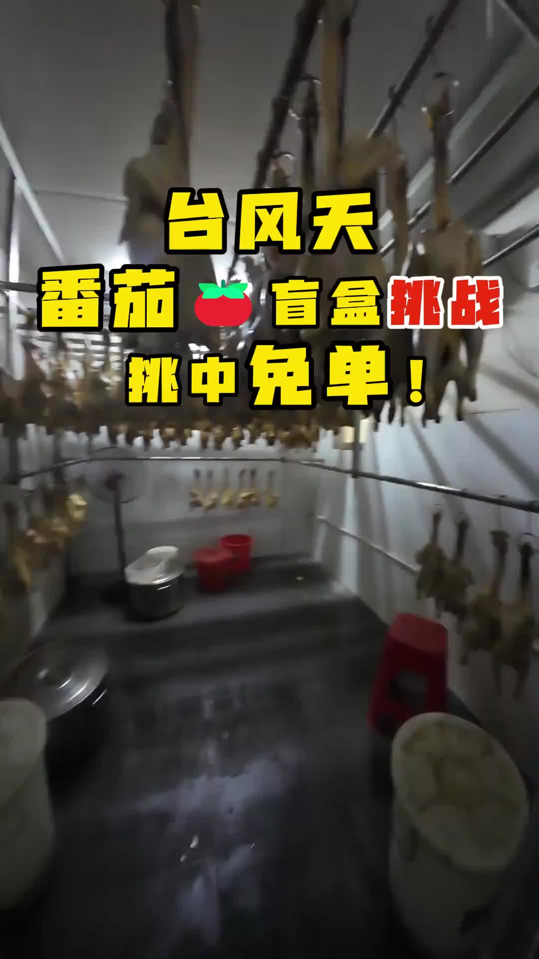 @烧鸡佬阿文