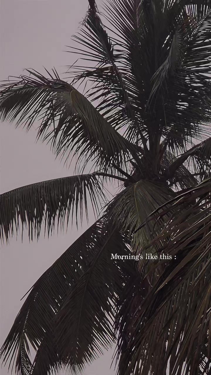 @ＡｓＨ_ｐｅｒｅｒａ
