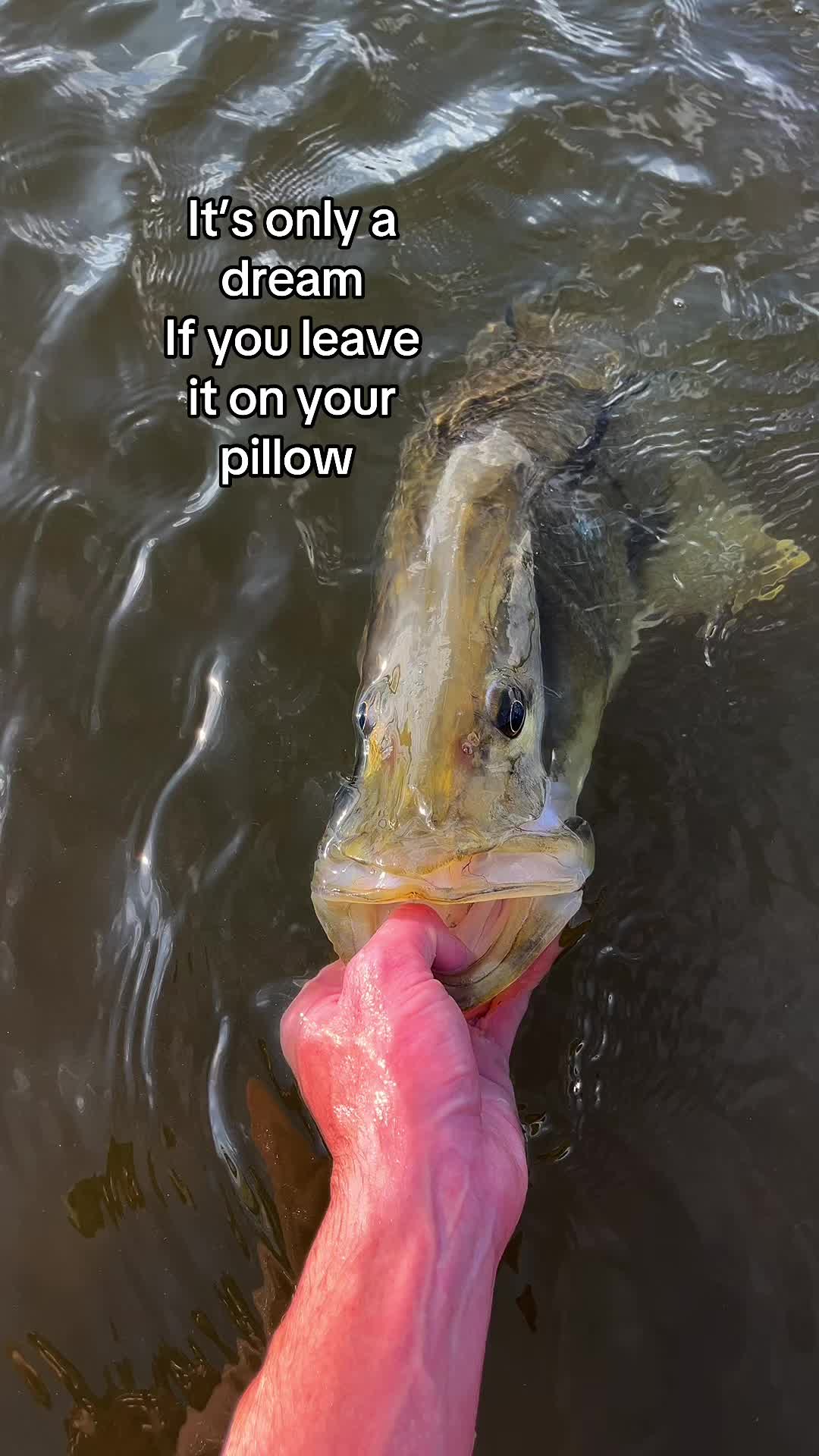 @The Fish Slayer