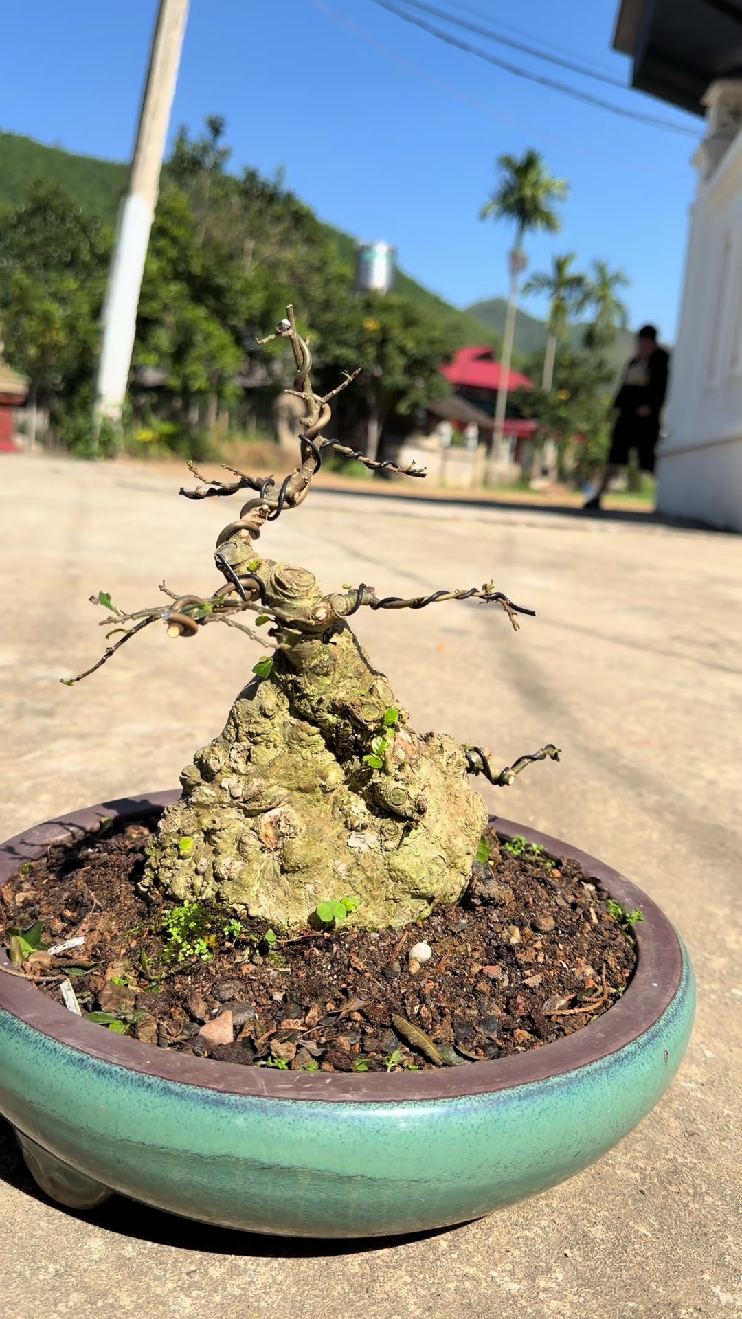 @Anh c&ocirc;ng
