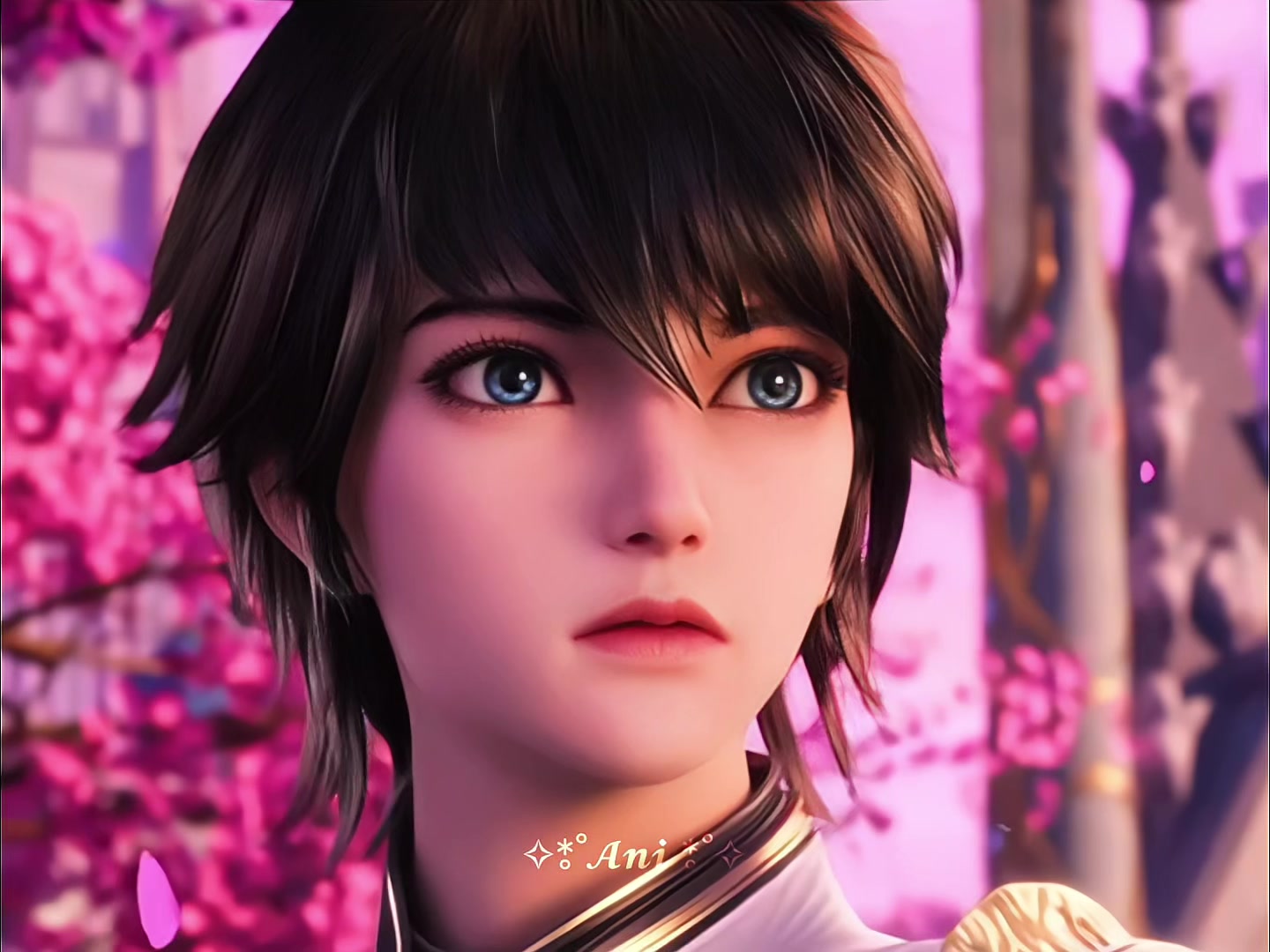 @✧*̥˚𝓐𝓷𝓲 *̥˚✧