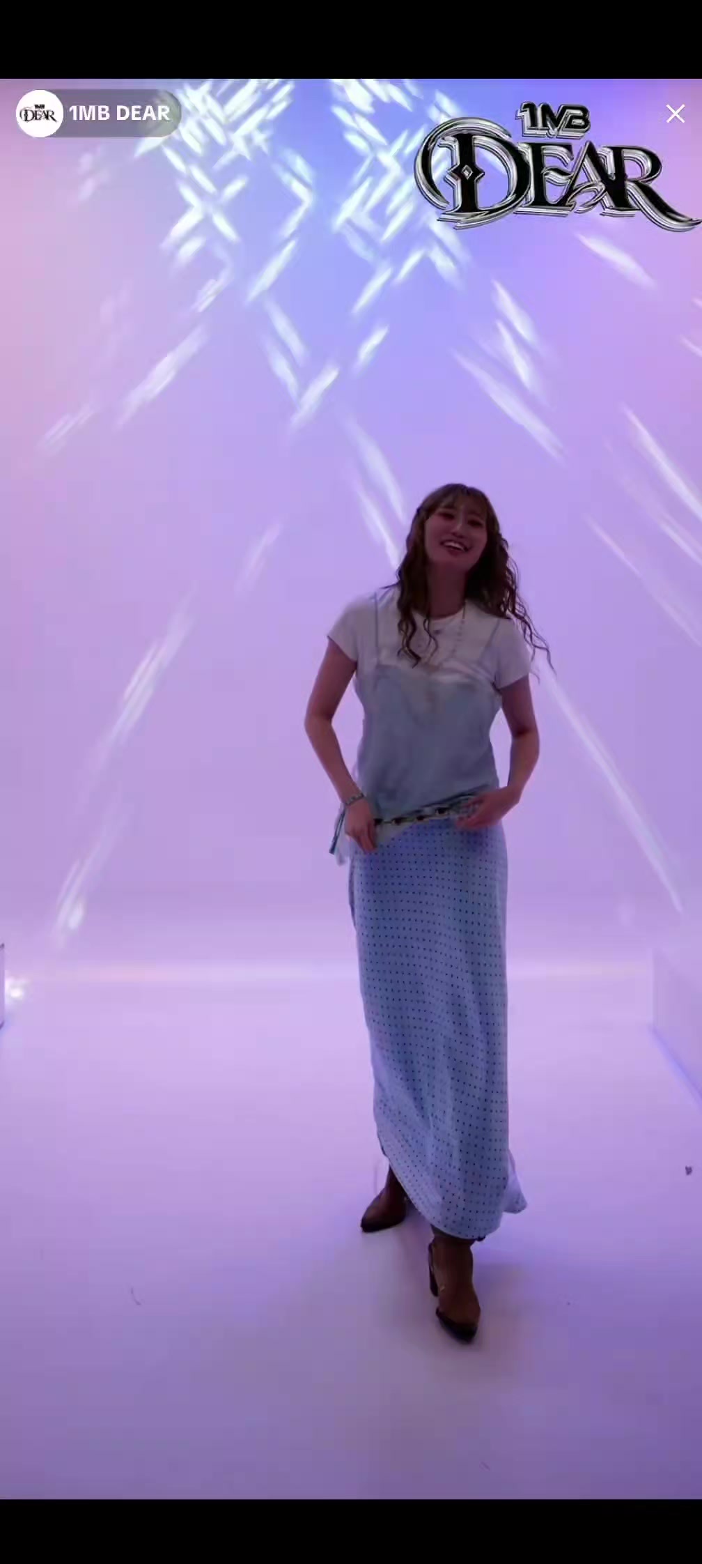 @猫好き