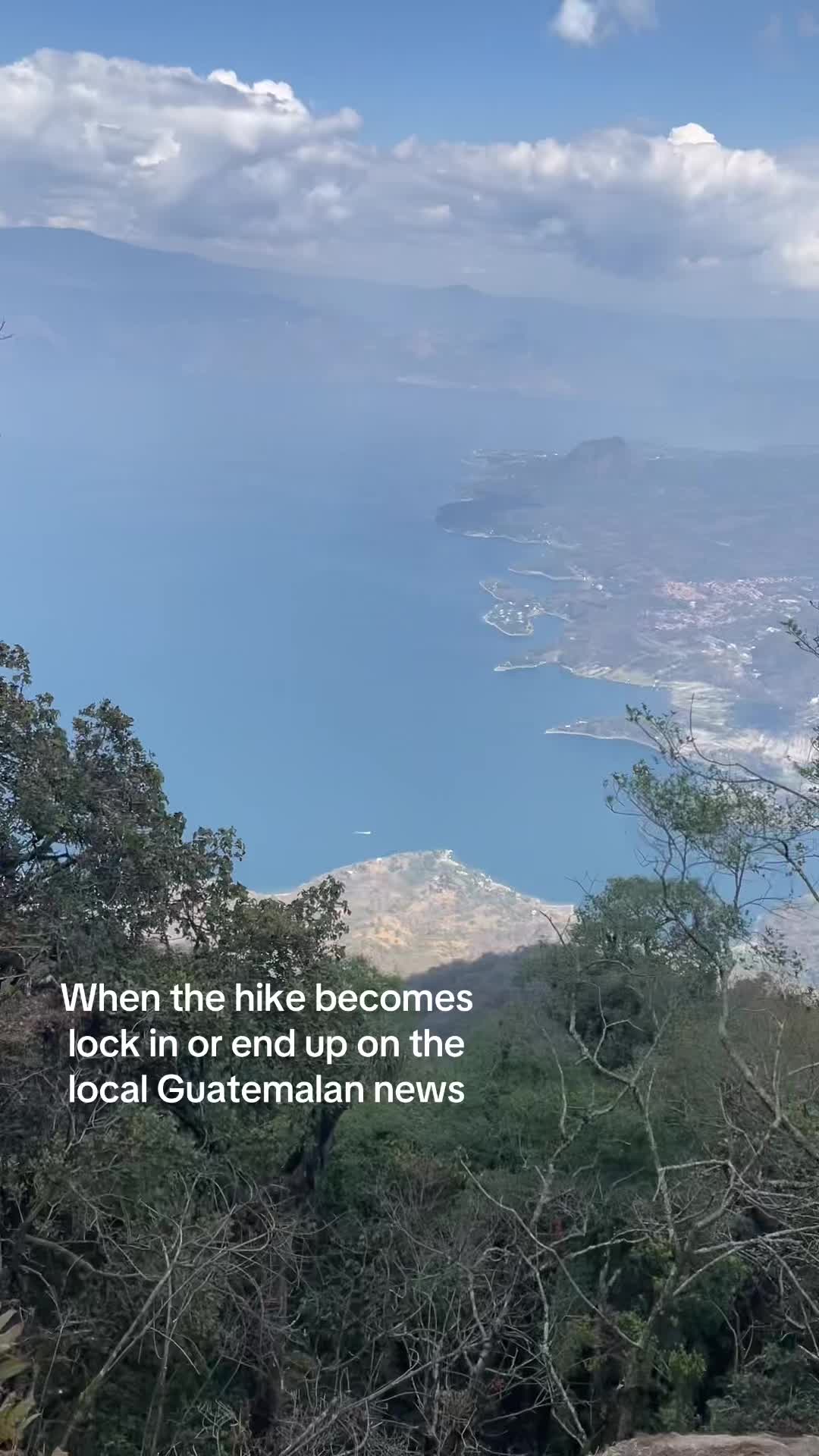 @Cat