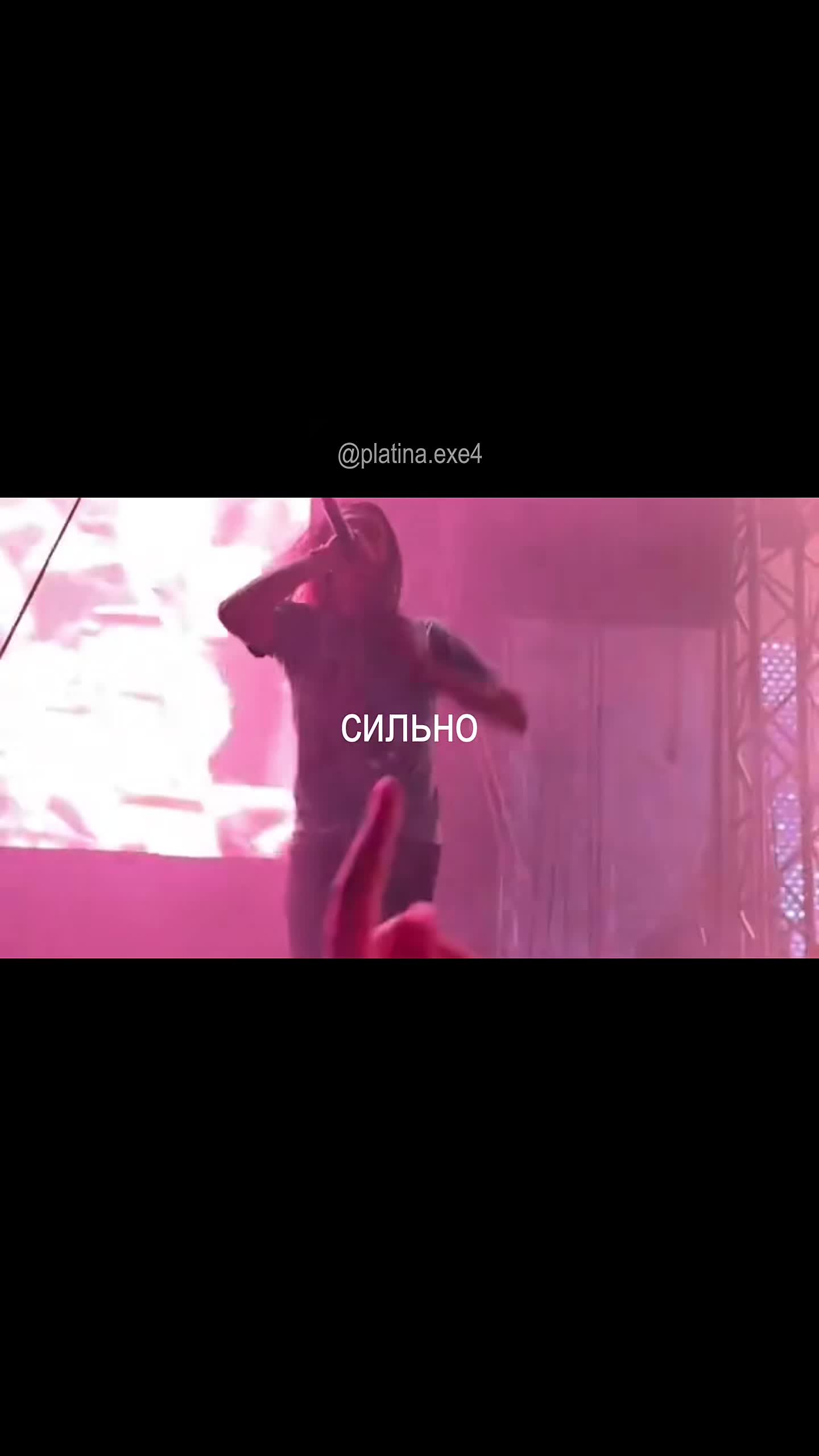 @platina.exe