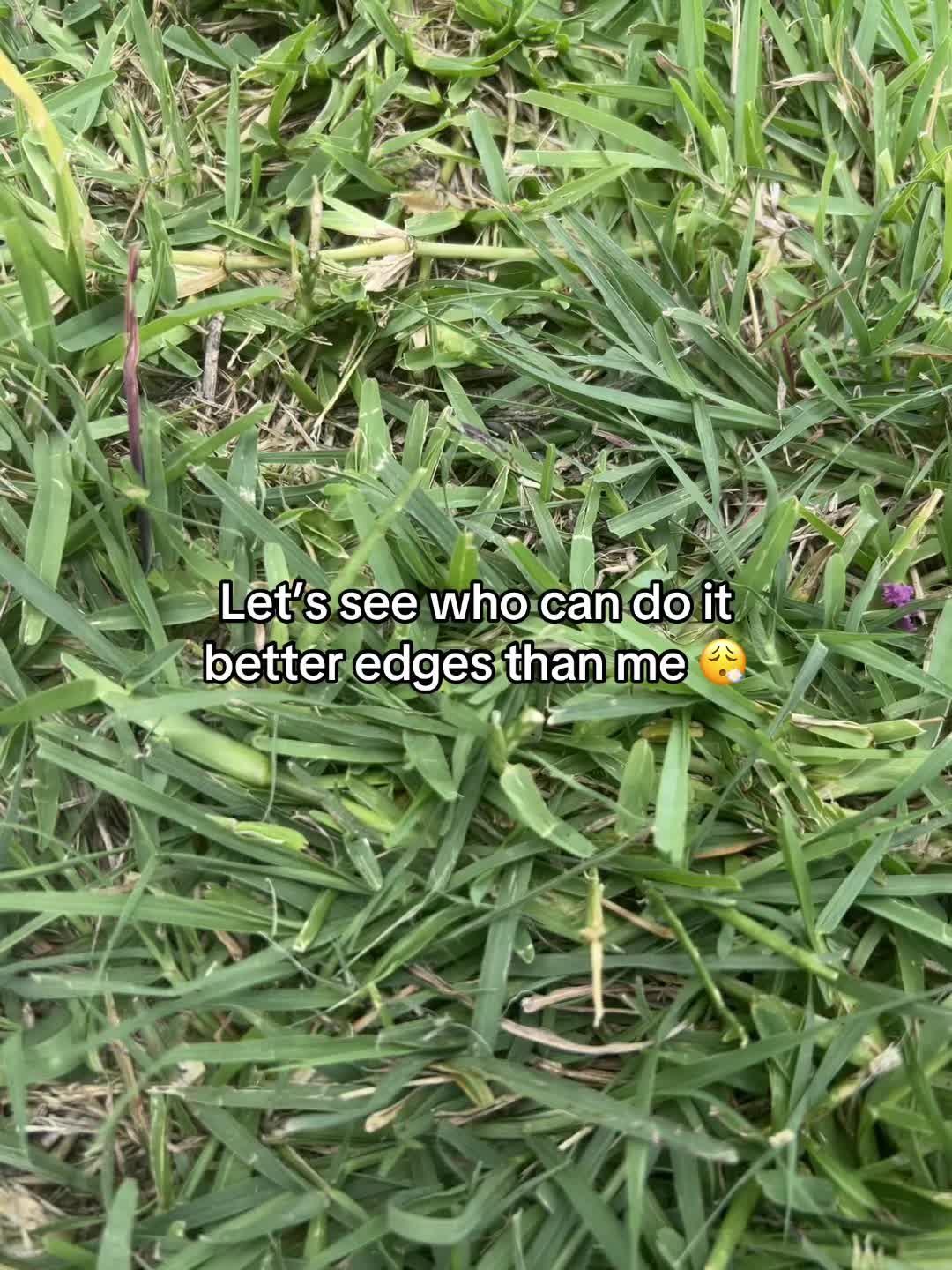 @Orlandotufavvato🥷🏿