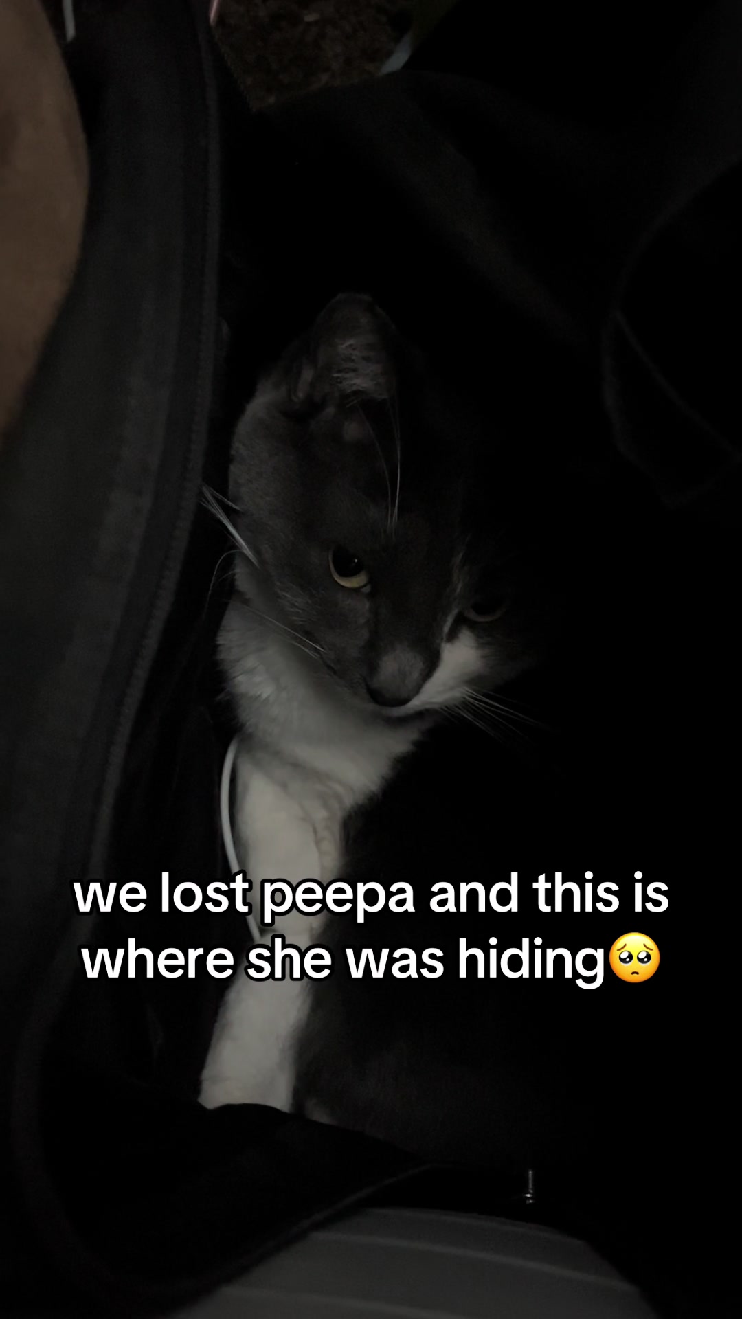 @peepa