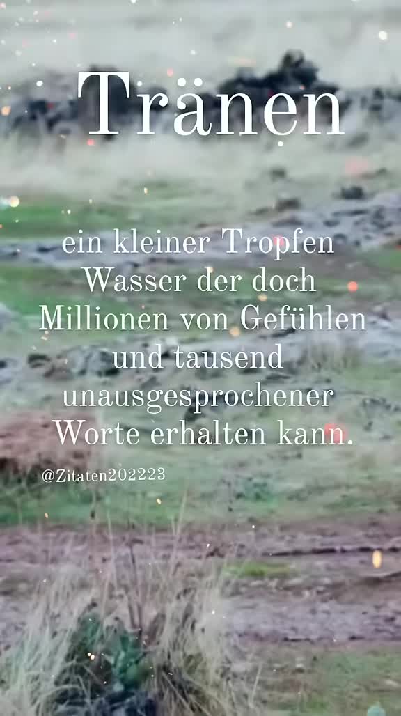 @Zitaten202223