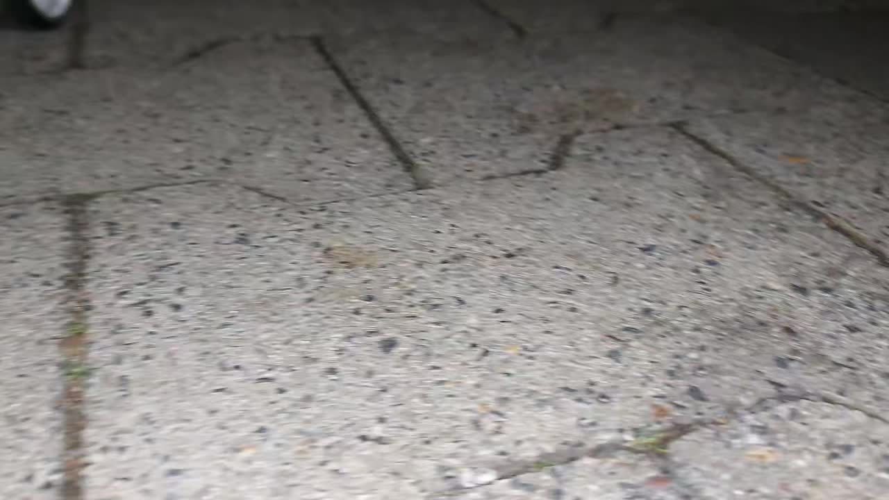 @SnooZeSiZe