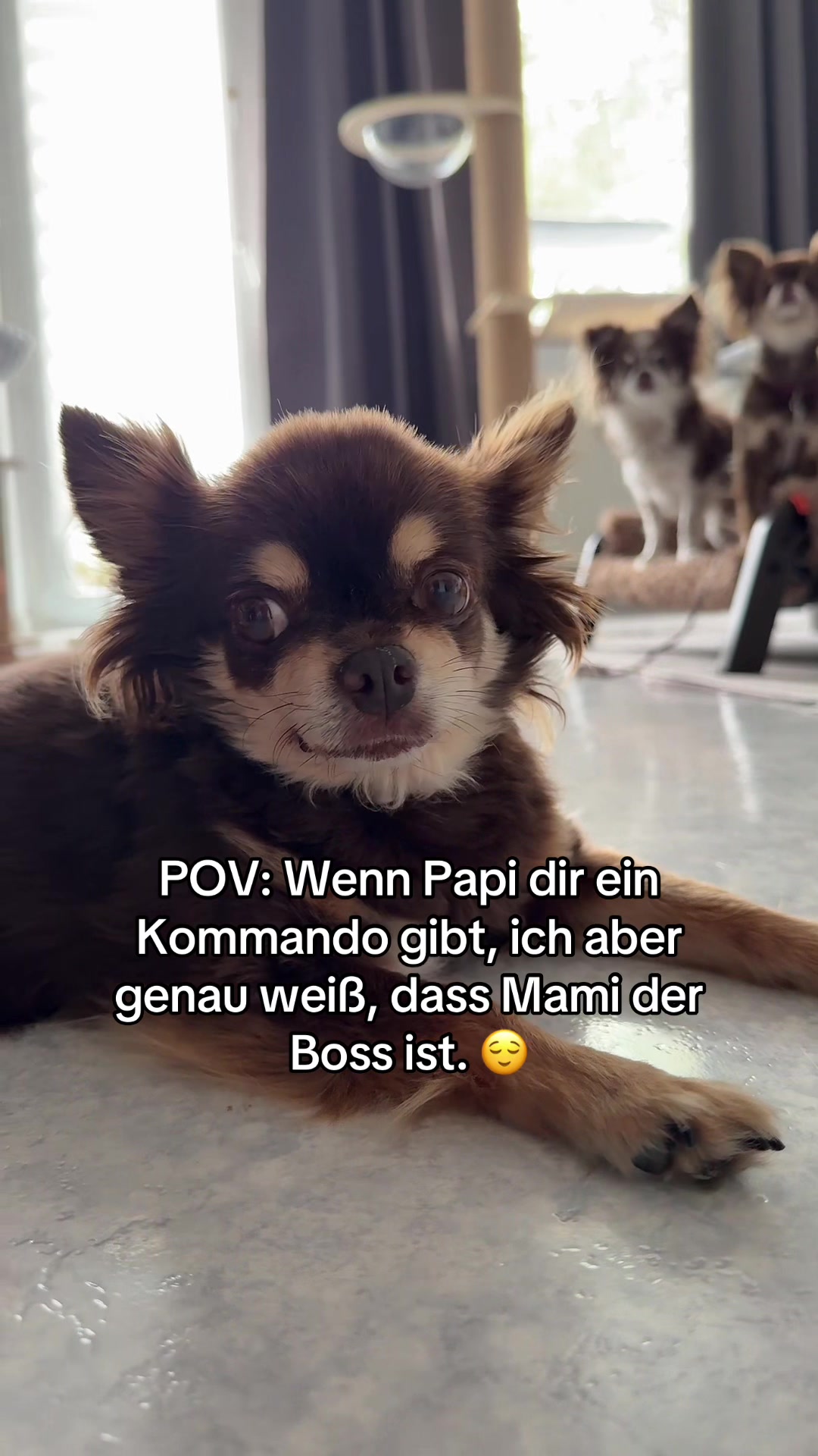 @Hɪᴍʙäʀᴄʜᴇɴ 🦅🇩🇪