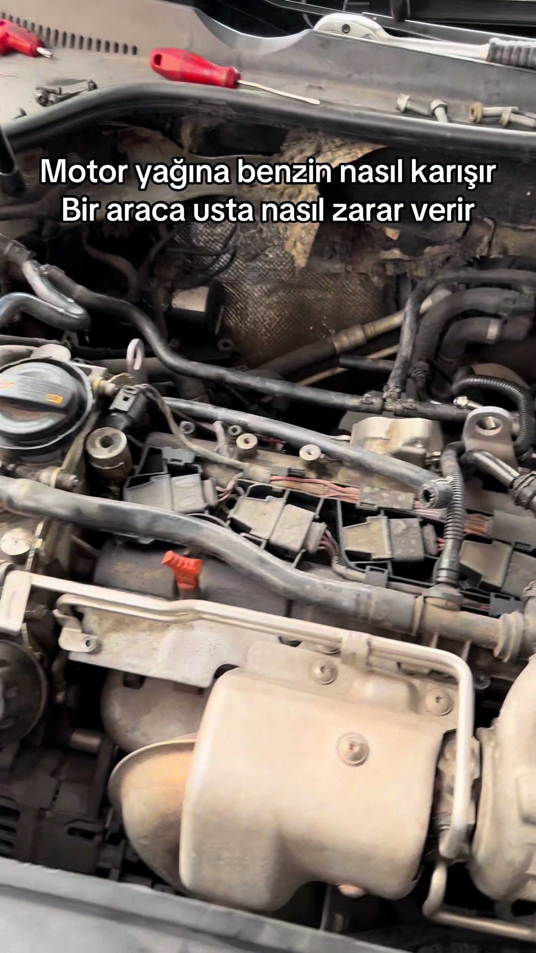 @prof_dr_efekan_korkmaz