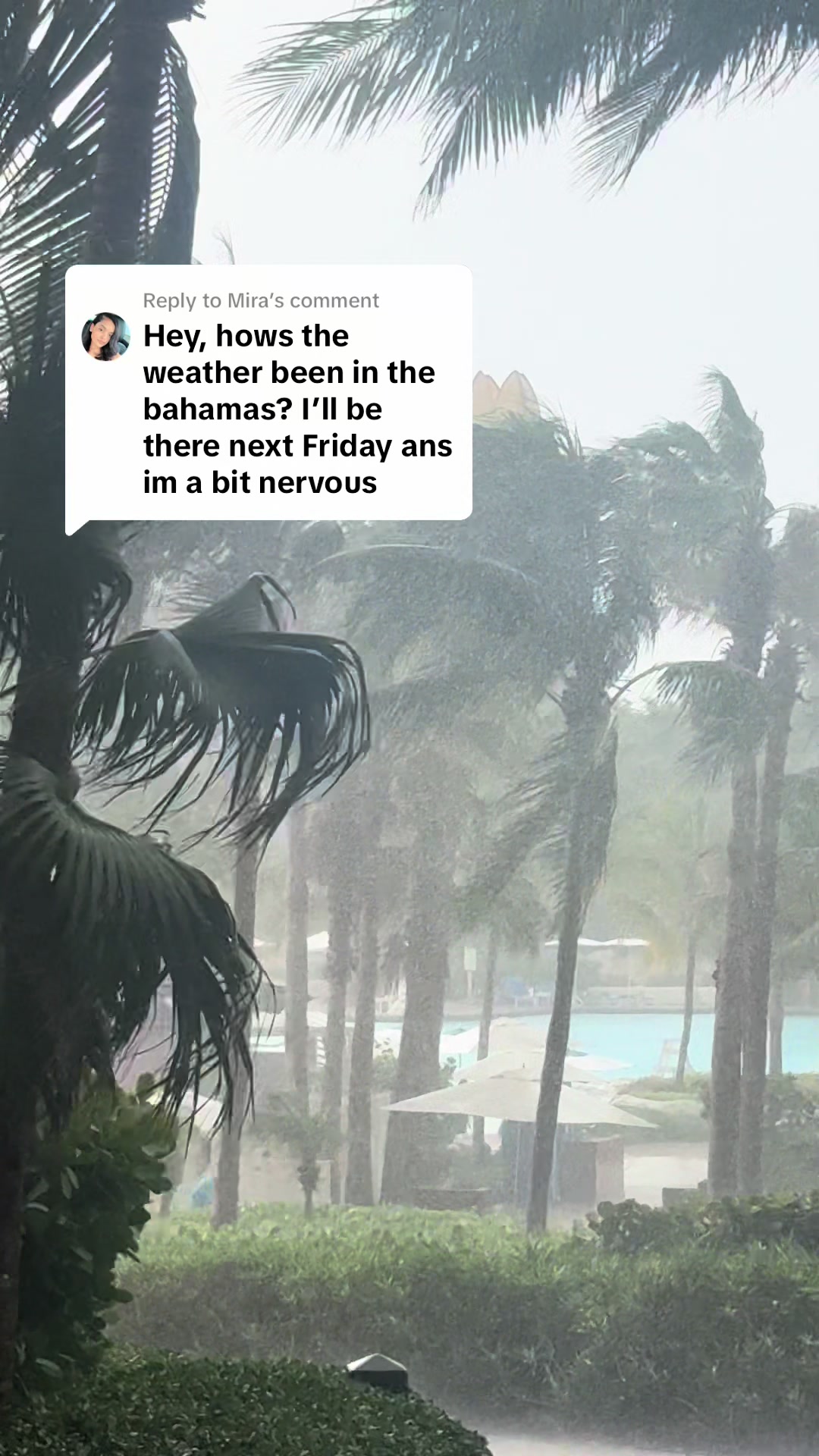 @drea968❌