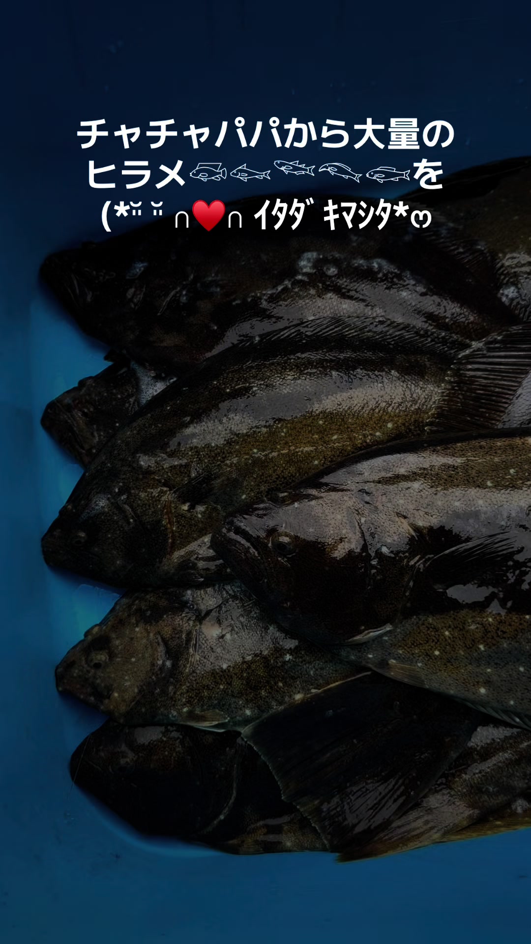 @ごん太