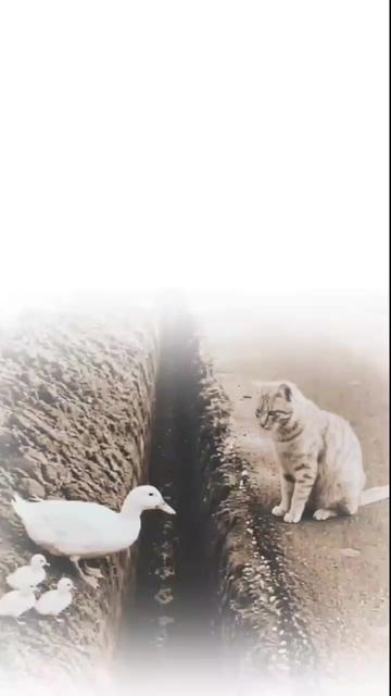 @ðŒðð®ðð¡ð¢ð«_ðð«ð¢ðð¬ð¥ðïž