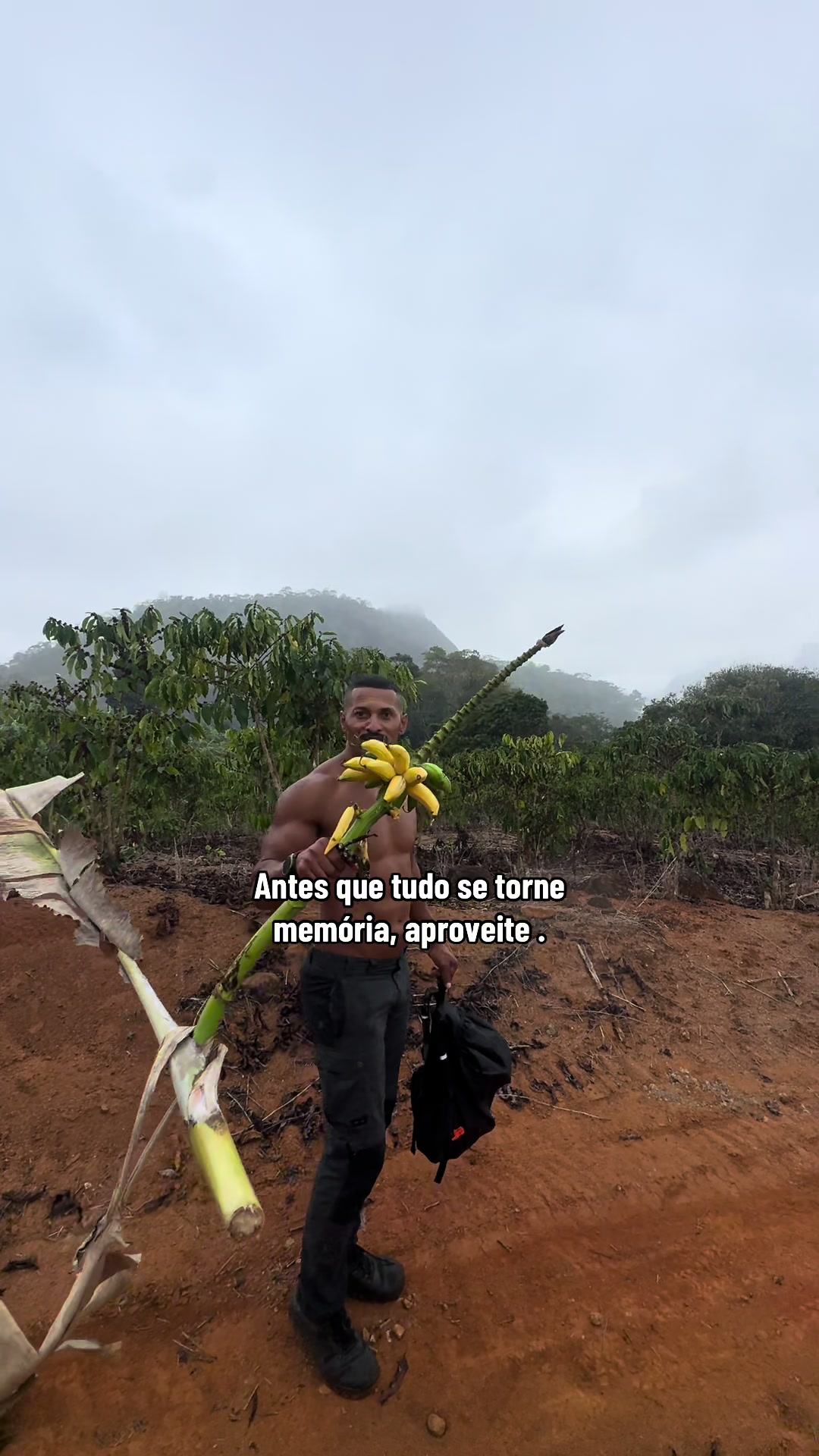 @Marcony