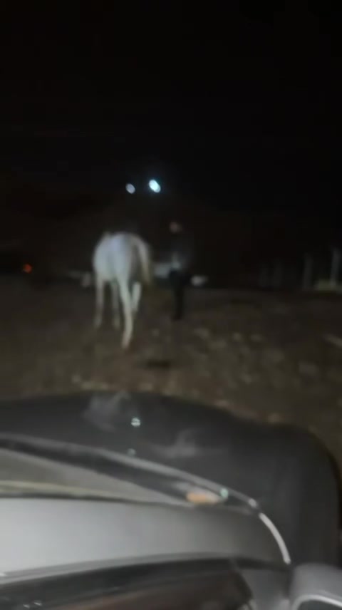 @شيخ حسين علي كلهر