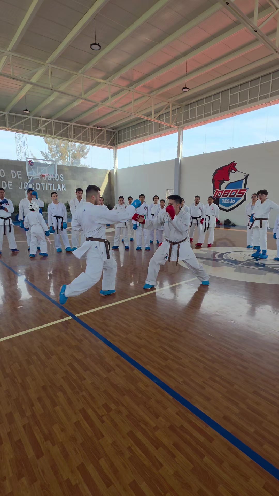 @Karate LSDG