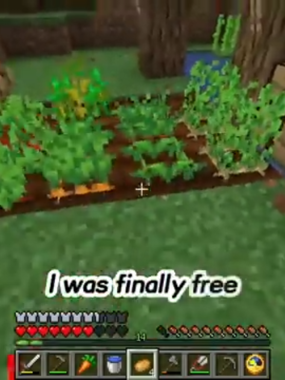 @fullstories