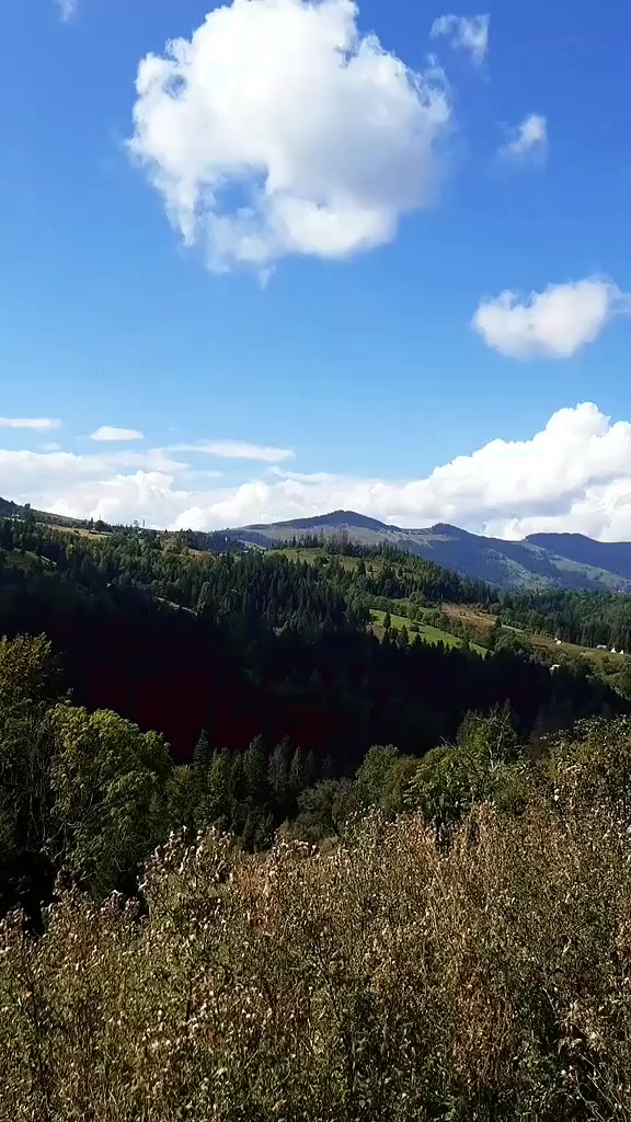 @Roman Bovysh