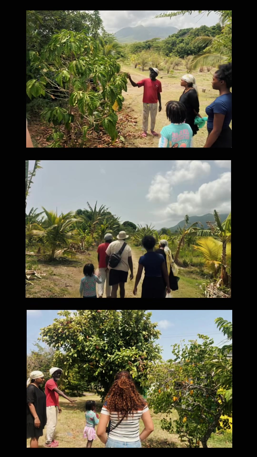 @Island Buzz Tours Nevis