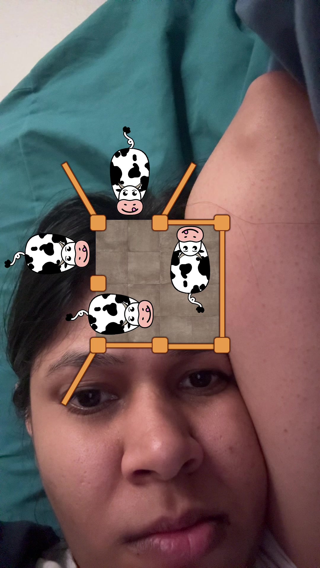 @Rhea Bajpai