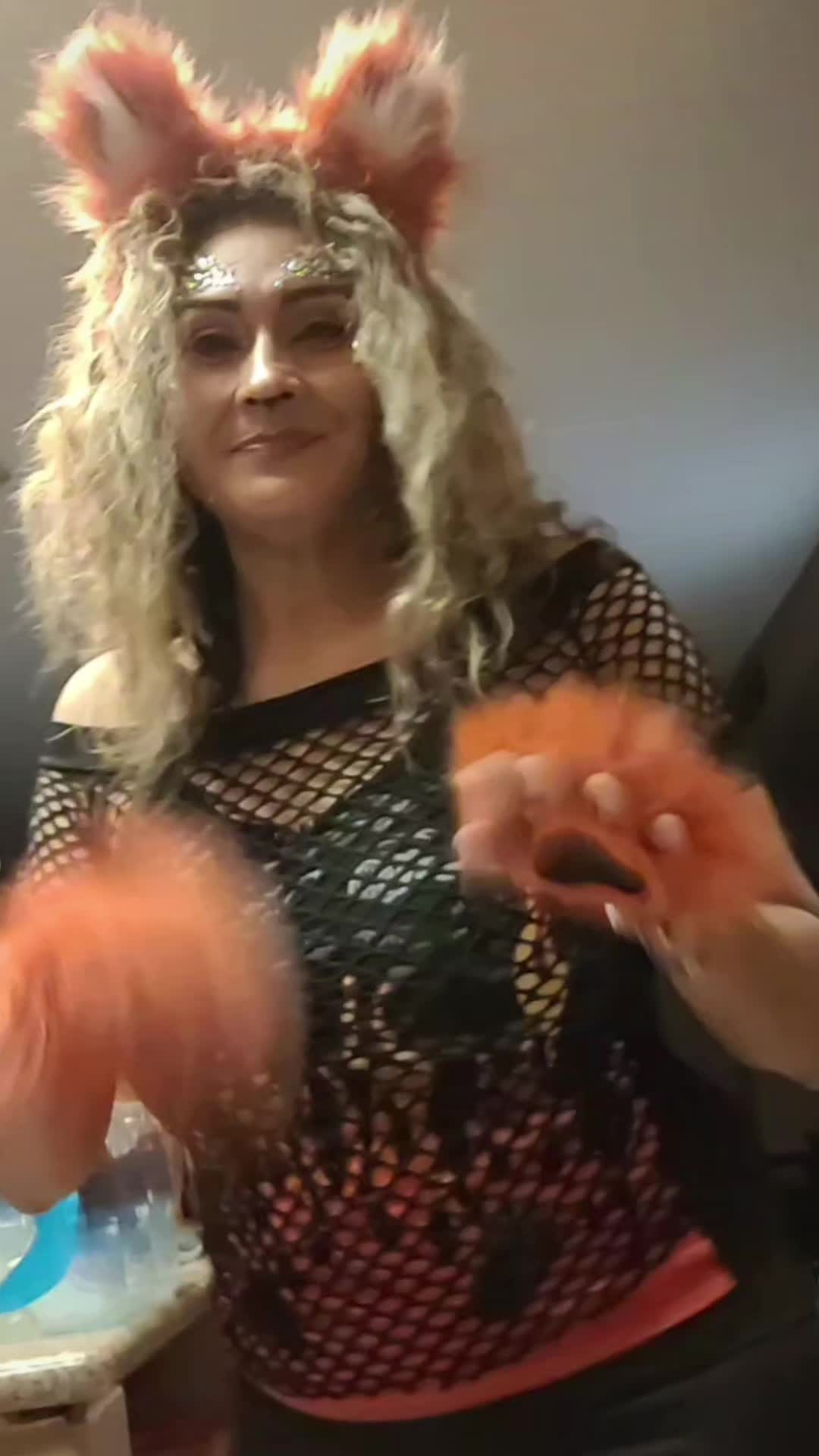 @fairy19