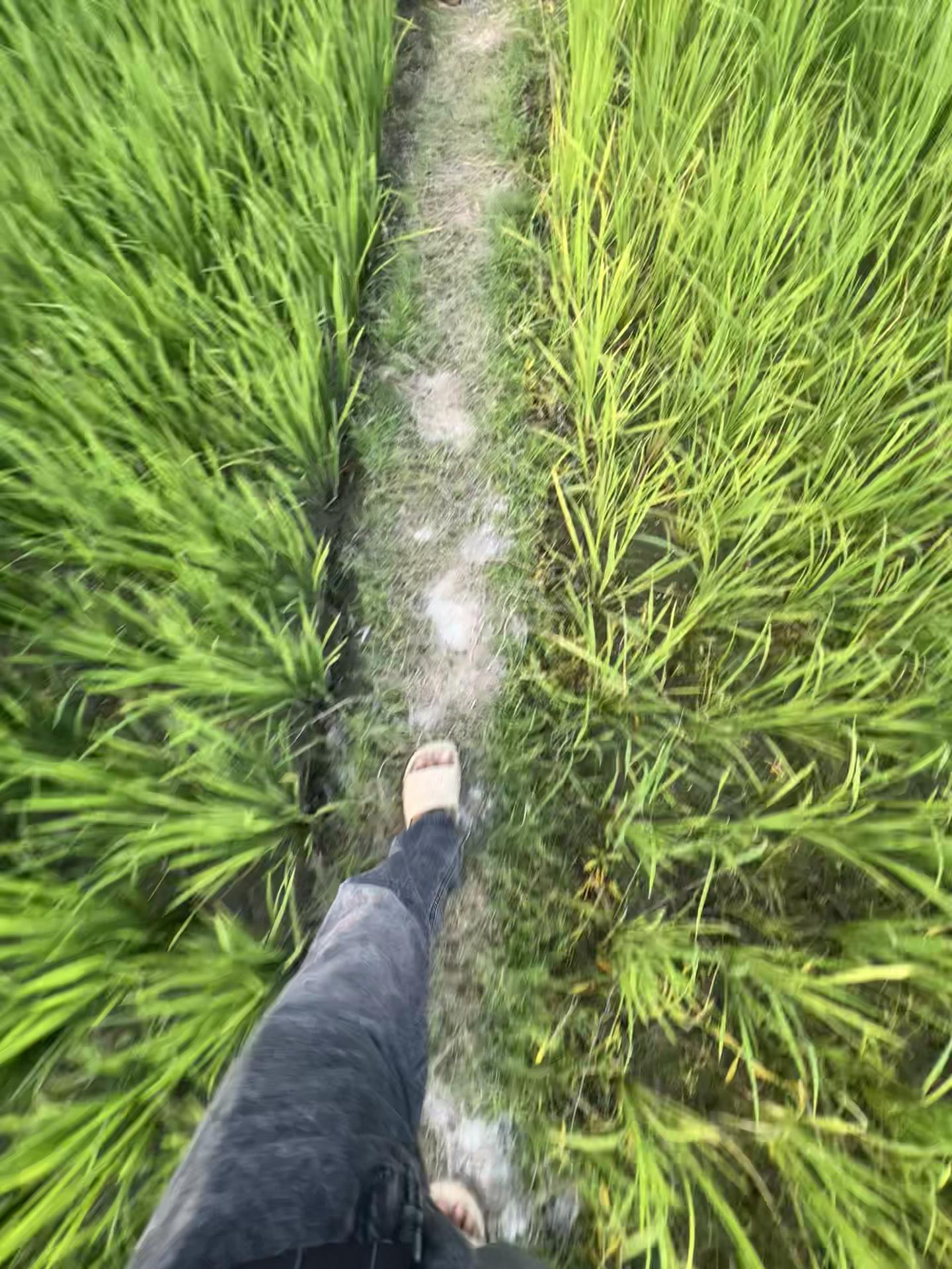 @𝘚𝘰𝘺𝘢𝘯