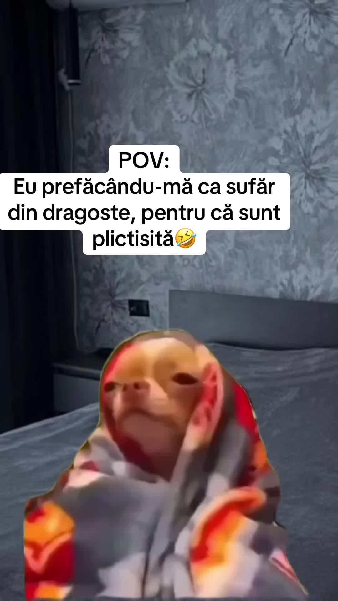 @*ð¢ðªð«ð»ðð€ð²ð©