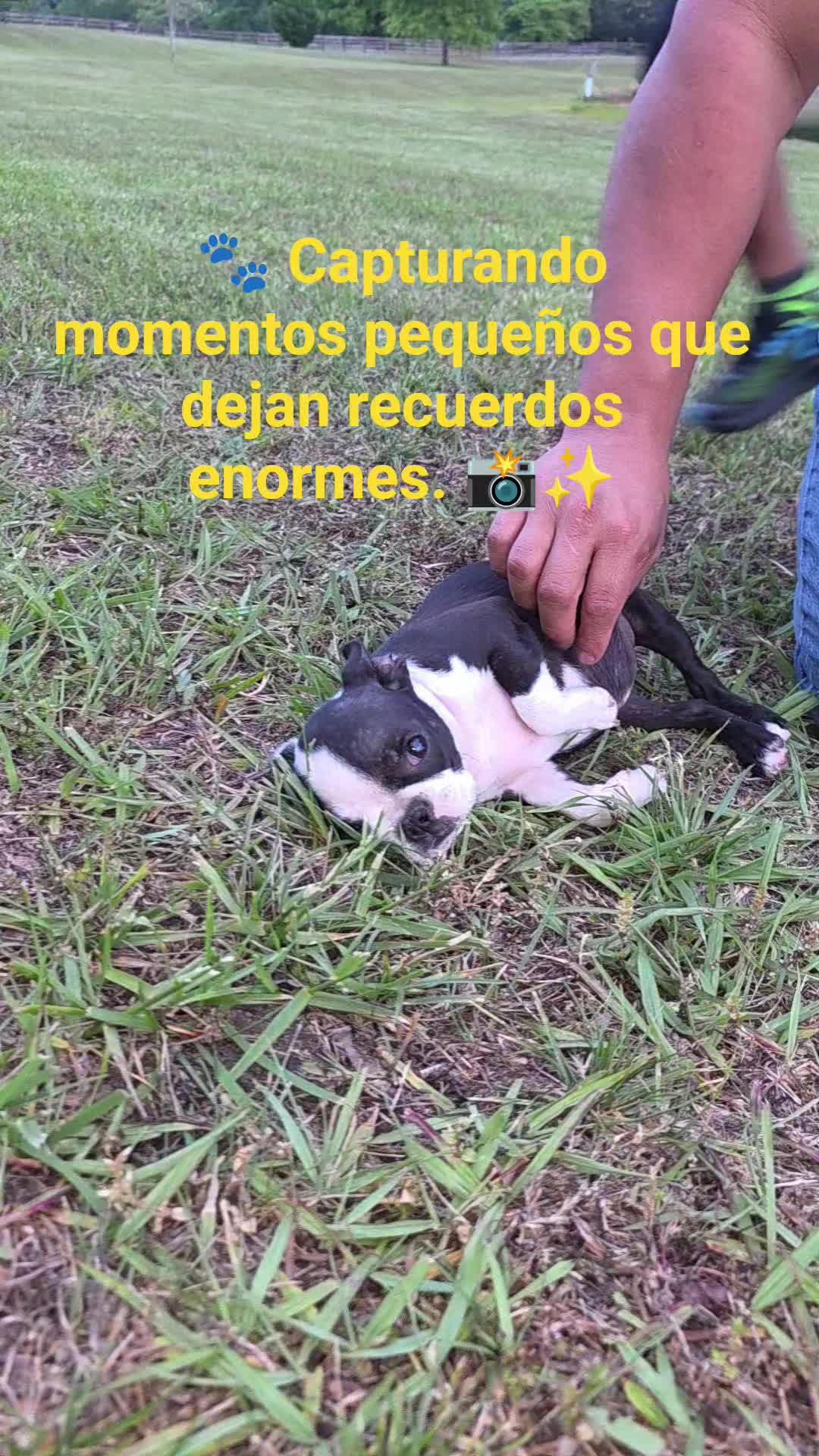 @luis &aacute;ngel castorena