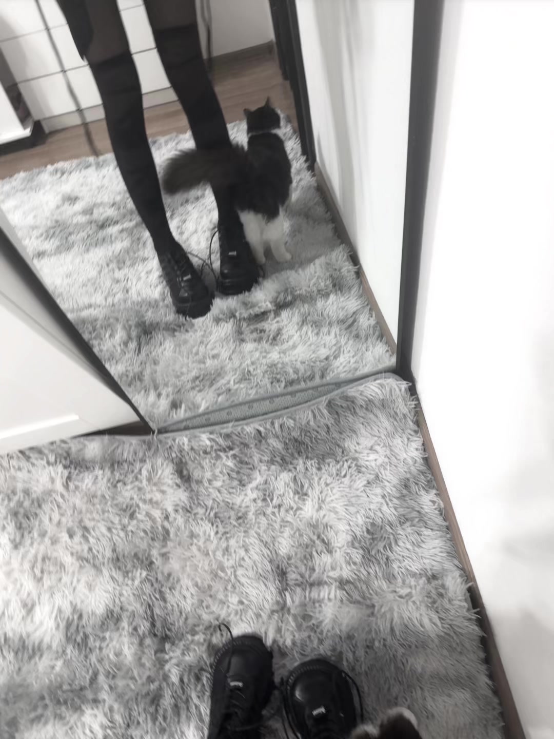 @𑣲amochka