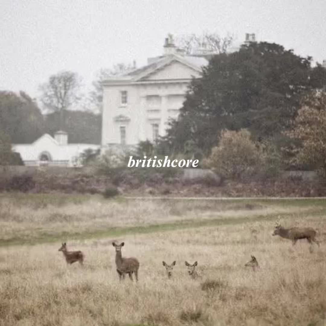@laurelcore