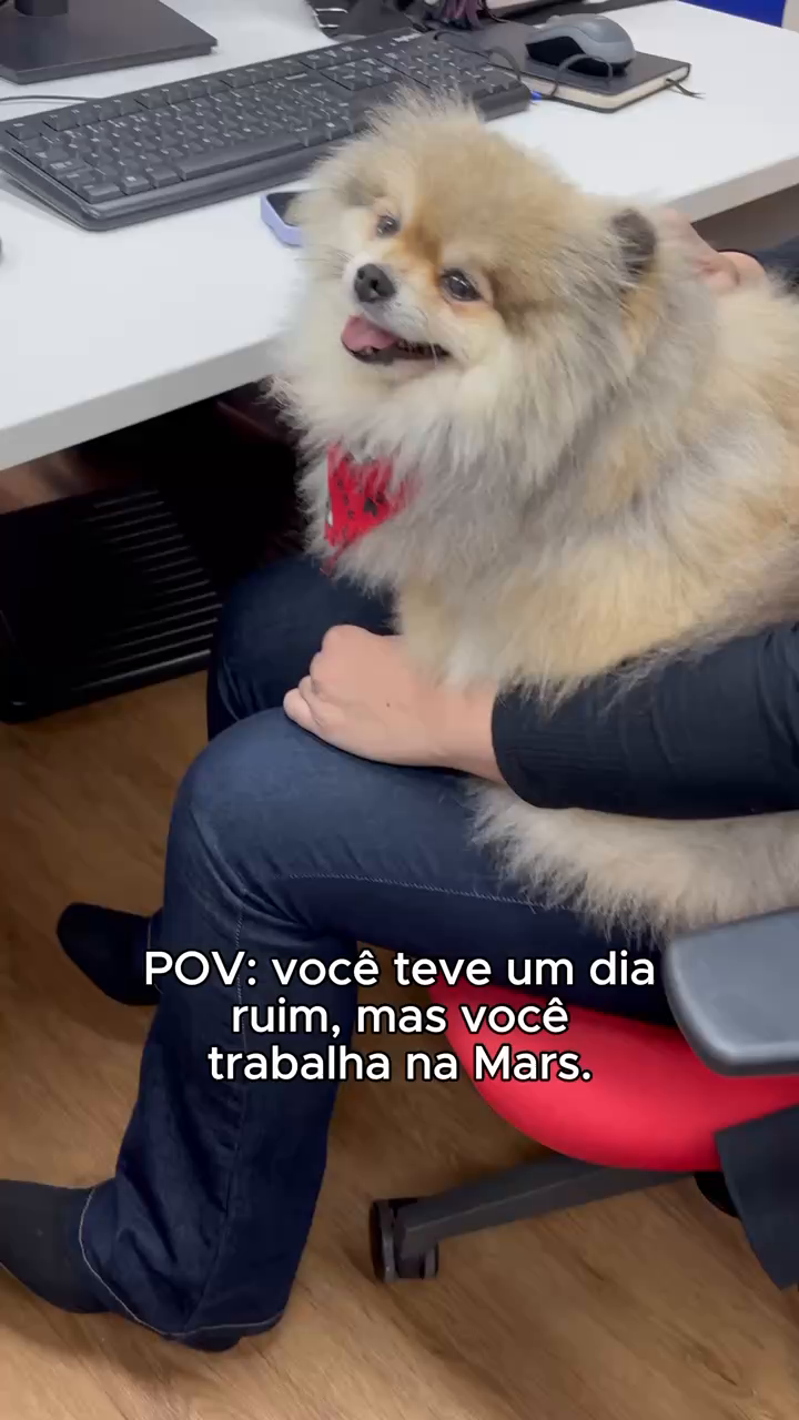 @Mars Brasil