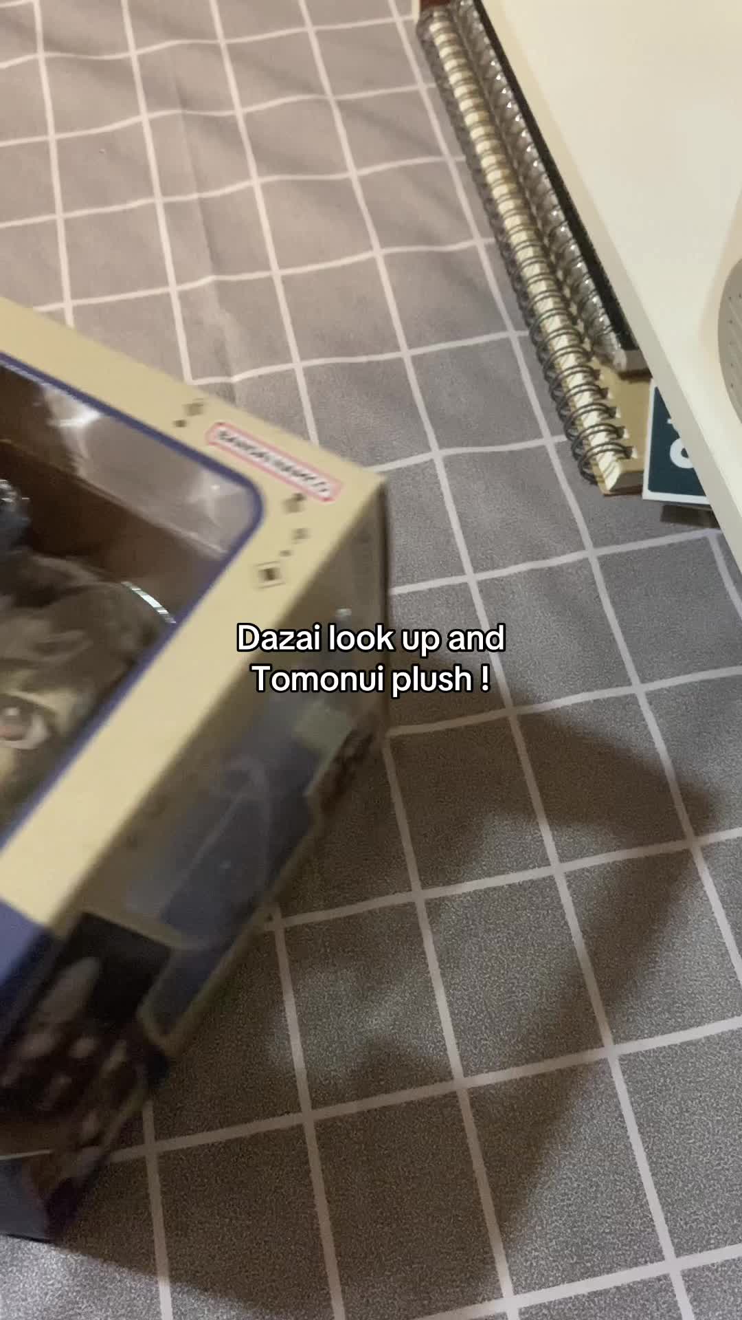 @︎🐈⬛
