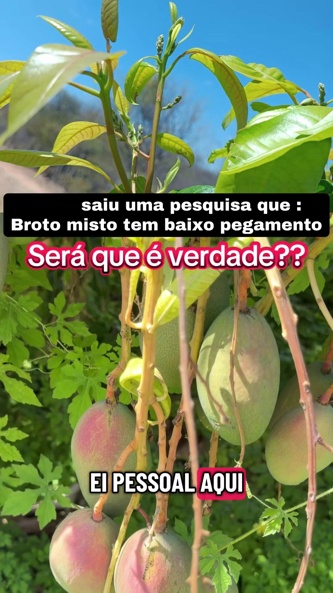 @flavio12inoveagro_oficial