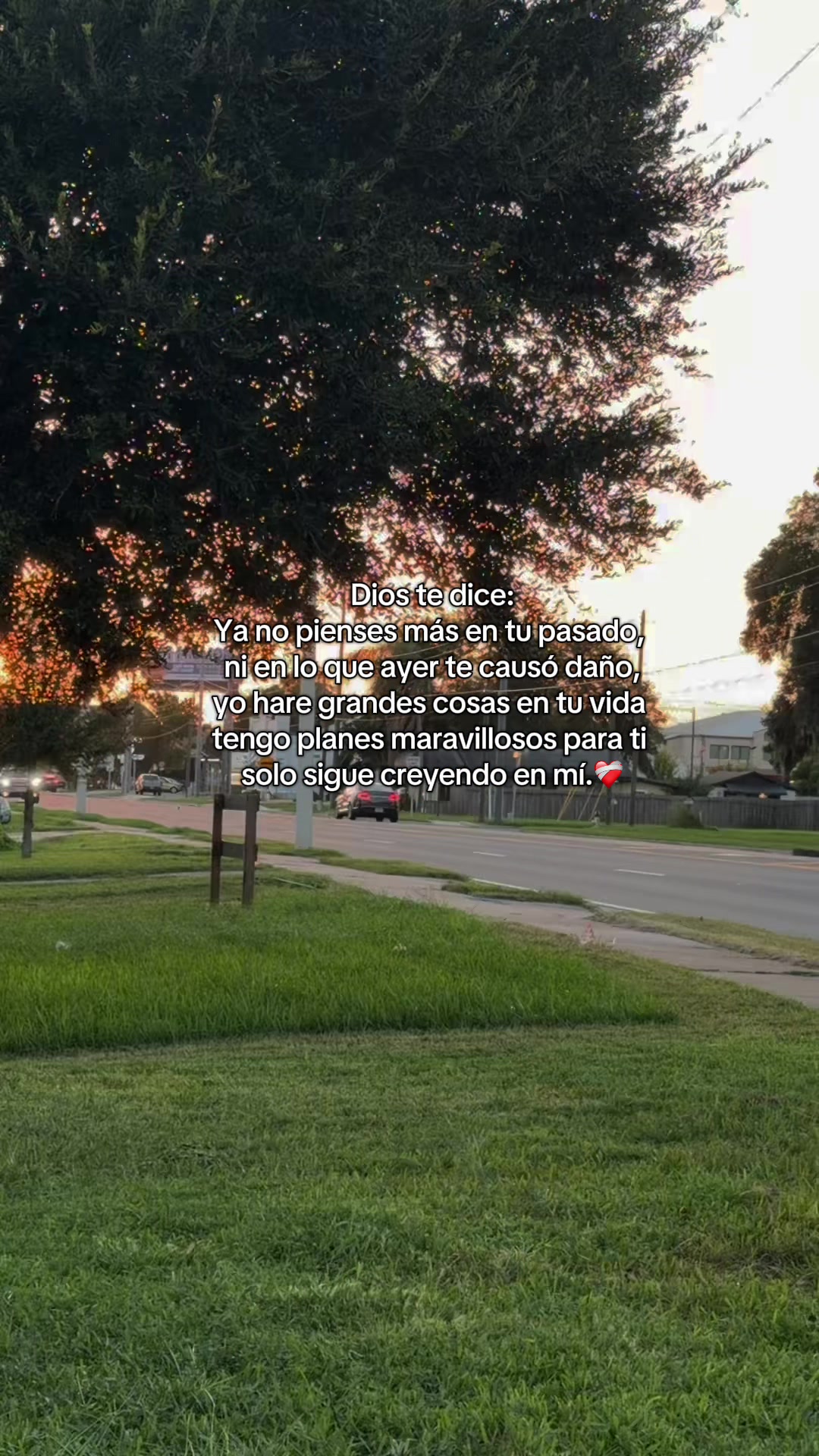 @Benedicto Zuñiga